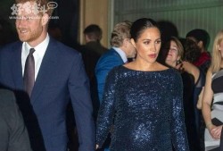 哈里夫妇爆料王室视频,独家视频曝光惊人真相